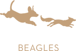 Voxcreek Beagles